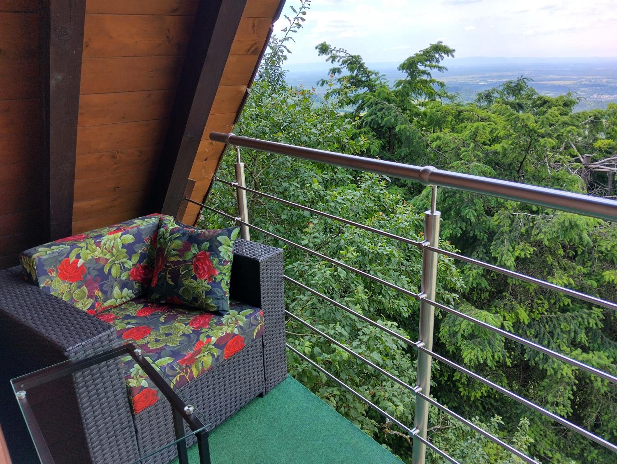 Haus "Guck - Ins - Tal" Appartement Sasbachwalden Buitenkant foto
