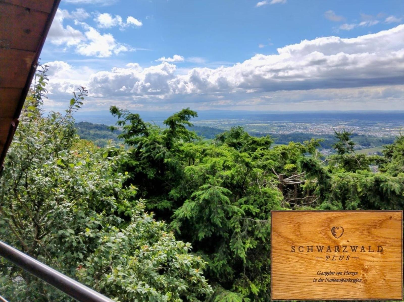 Haus "Guck - Ins - Tal" Appartement Sasbachwalden Buitenkant foto