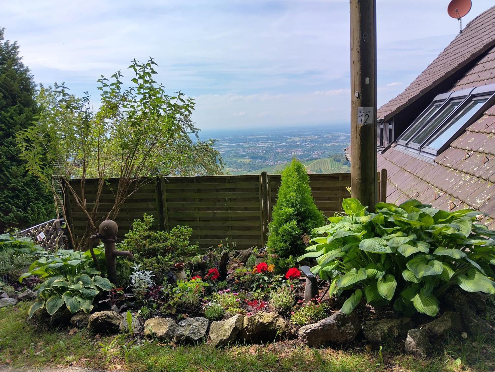 Haus "Guck - Ins - Tal" Appartement Sasbachwalden Buitenkant foto
