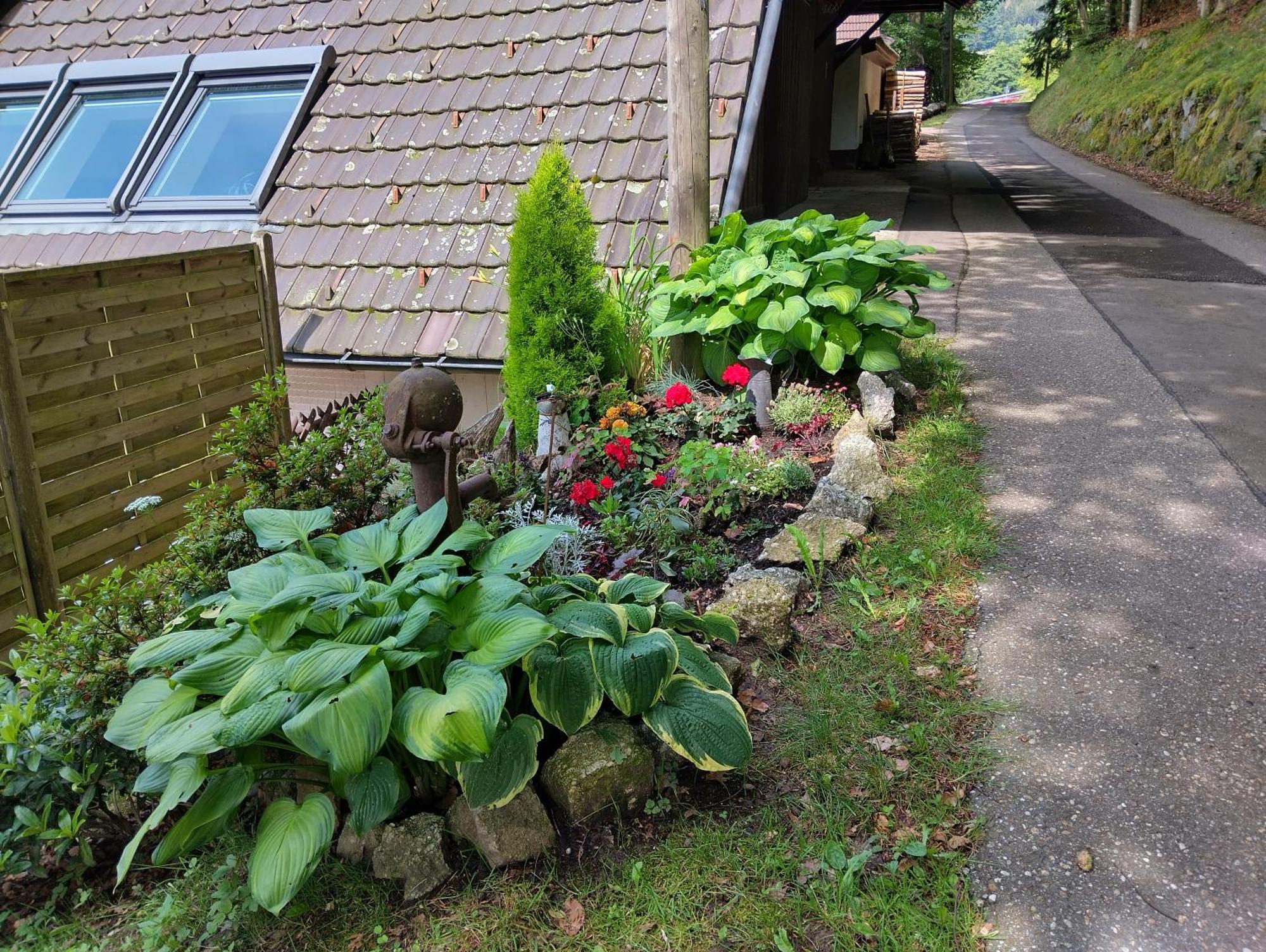 Haus "Guck - Ins - Tal" Appartement Sasbachwalden Buitenkant foto