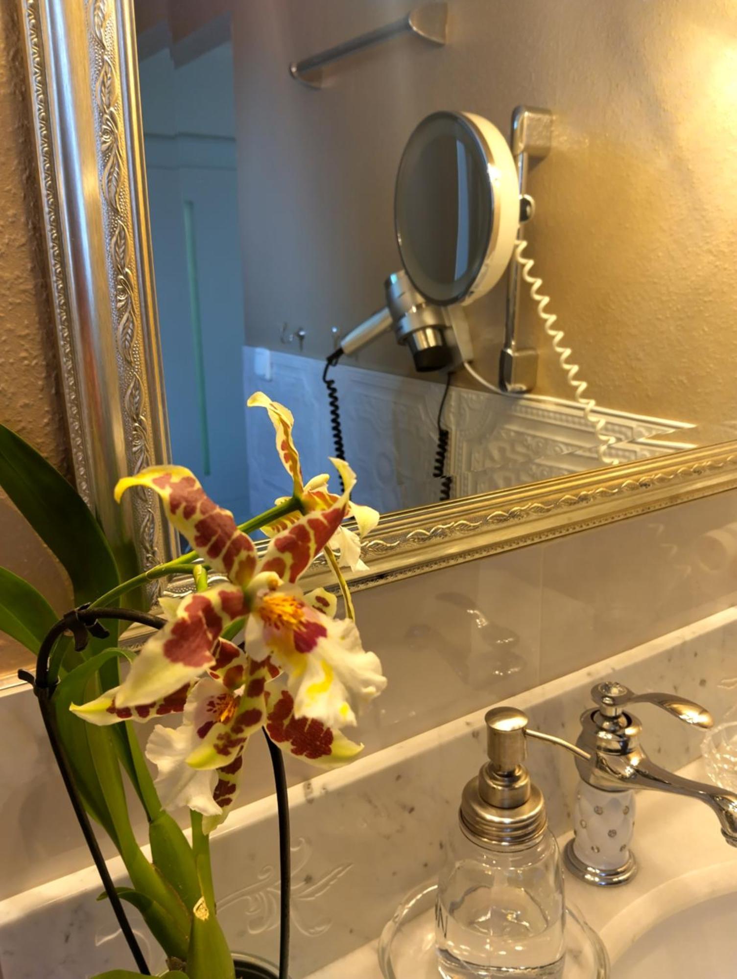 Haus "Guck - Ins - Tal" Appartement Sasbachwalden Buitenkant foto