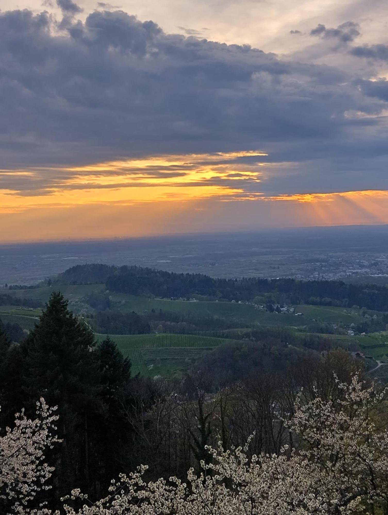 Haus "Guck - Ins - Tal" Appartement Sasbachwalden Buitenkant foto